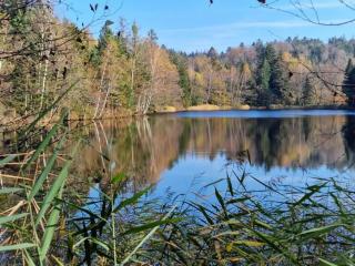 Pied des Milles Etang - Les Capucins - 5