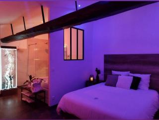 Les Sansonnets Appart & Spa - 4