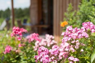 Chalets, Ferienhäuser mit Sauna am Ferienhof Schiegl in Alleinlage - 4