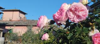 Tuscan rooms - 9