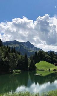 Chalet Frederik - 9