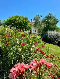 Casa Bozzo, appartement 'Collina' - 4