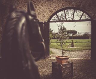 Domaine de Vareilles - 3
