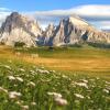 Autonoleggio economico in zona Alto Adige